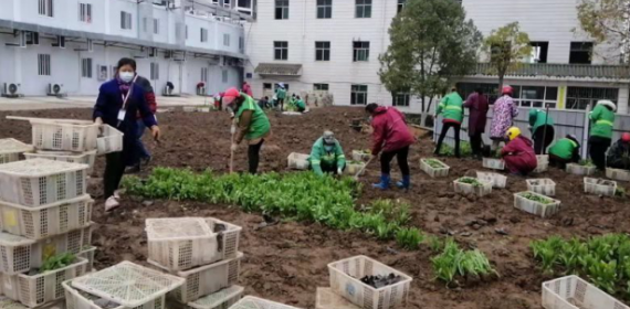 鼎力“鄂州小汤山”鄂州市绿化管理处在行动