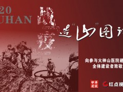 战“疫”  之  造“山”图记