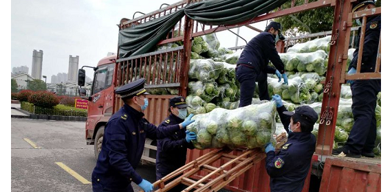 黄陂盘龙城城管搬运分拣新鲜蔬菜  协助解决群众生活所需