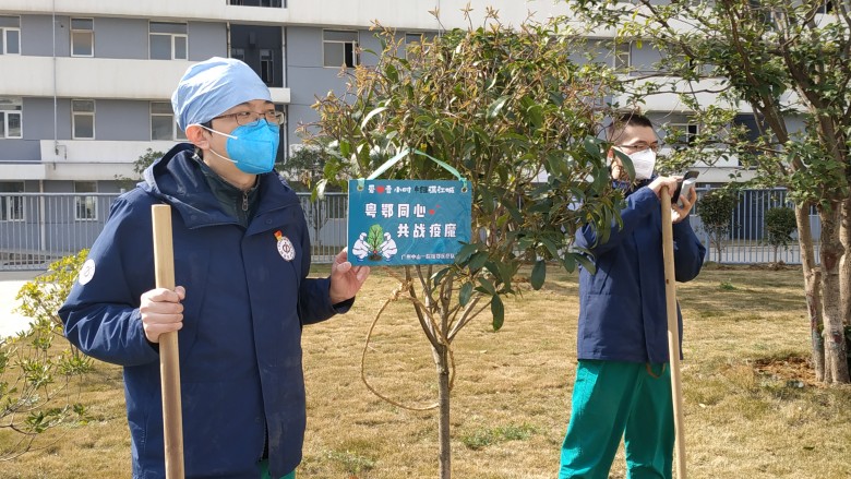 广州中山一院援鄂医疗队种下的“抗疫树”_conew2
