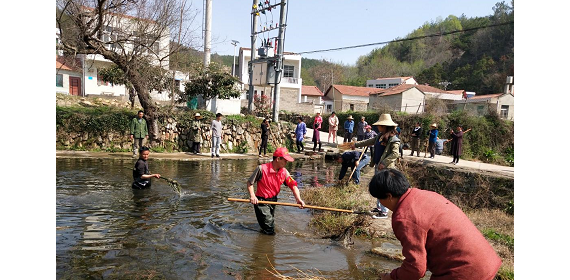 黄陂大屋岗村返乡党员、村民积极开展清洁家园行动