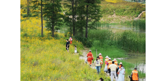 东湖高新城管联合多部门为网红打卡地“花海”进行深度保养