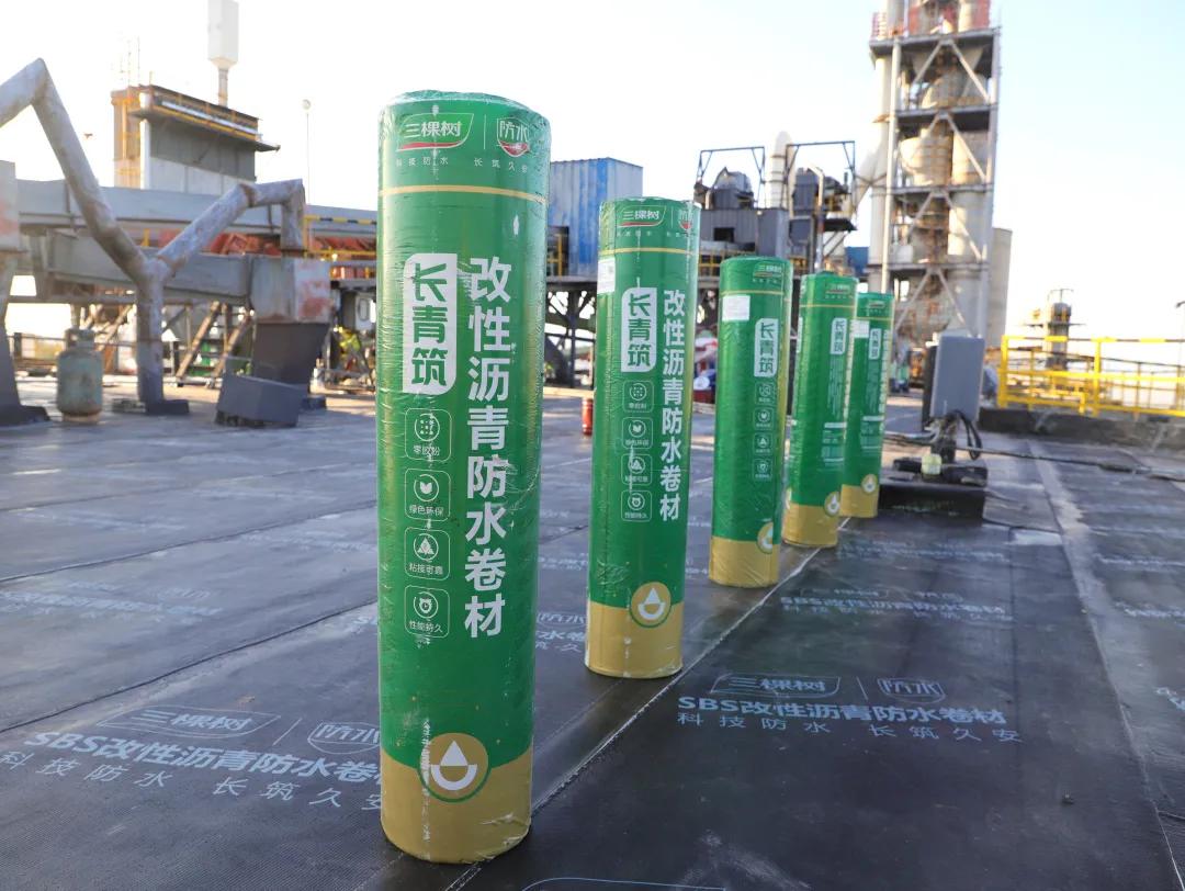 极致产品应用!三棵树长青筑系列防水卷材助力山西星原集团旧改项目