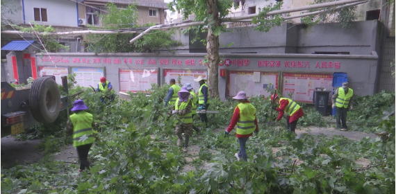 鄂州市绿化处：修剪沿街树木 为民服务办实事