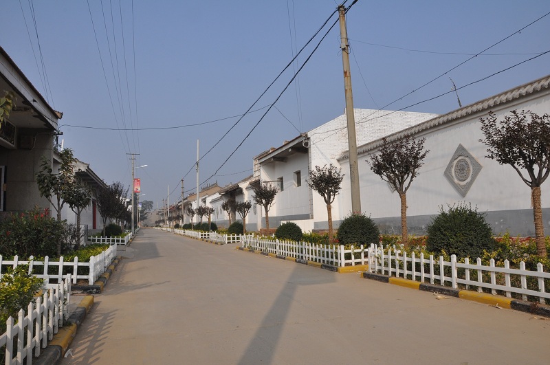 陕西合阳县: 打造渭北旱塬上的美丽乡村