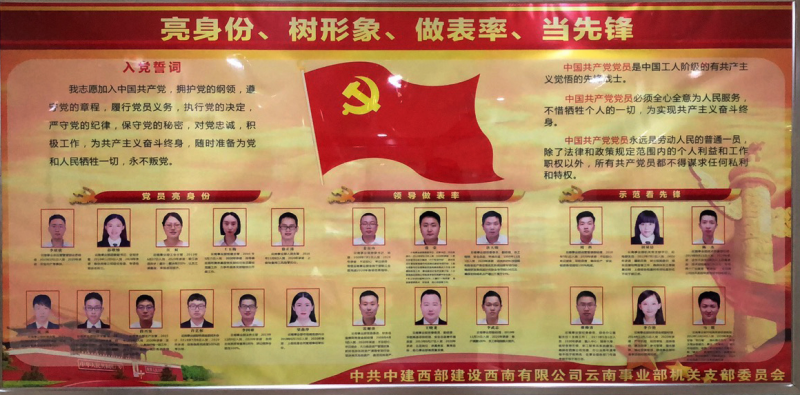 亮出党员大担当红动复工达产第一线亮出身份争当先锋