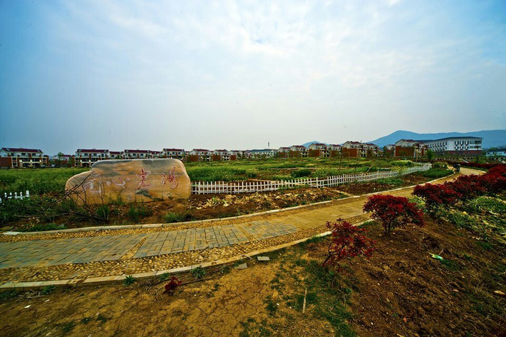 襄阳尹集乡因地制宜打造美丽乡村风情带