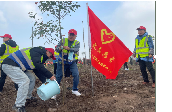植树日!中建三局华中公司开展植树倡廉主题活动