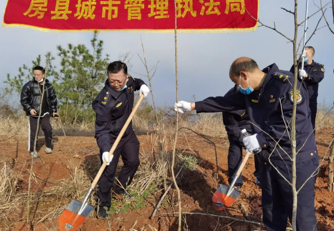 房县城管执法局:植树添绿正当时,60余人播种绿色希望