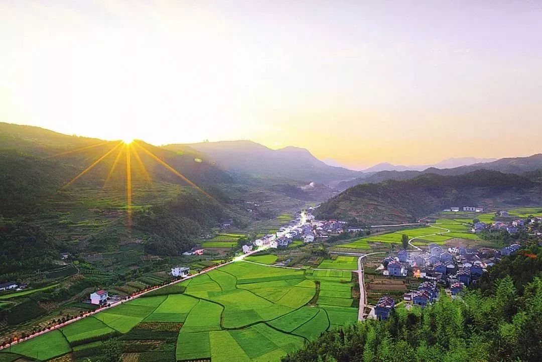 湖北蕲春启动"四城联创" 新增省级森林城市创建目标任务