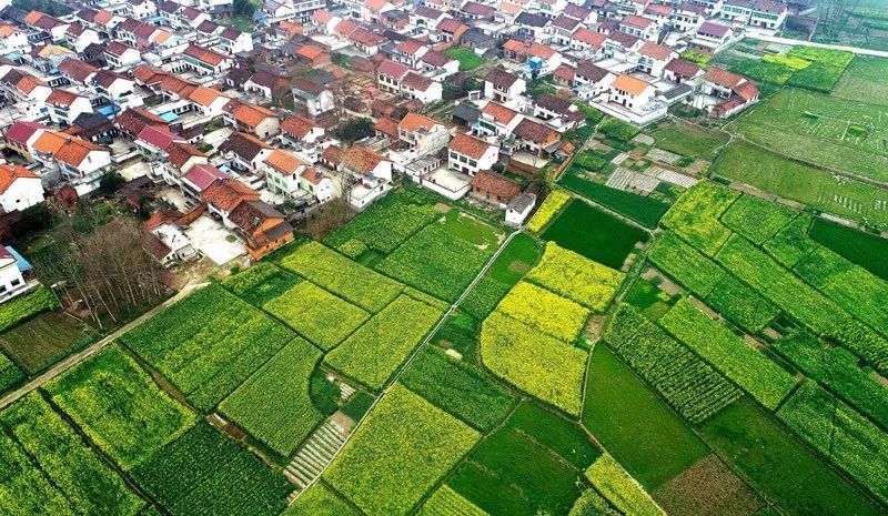 自然资源部出台政策规范临时用地：坚决防范用地“临时变永久”