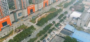 武汉东西湖区韶华年光公园里的光阴故事 (256播放)