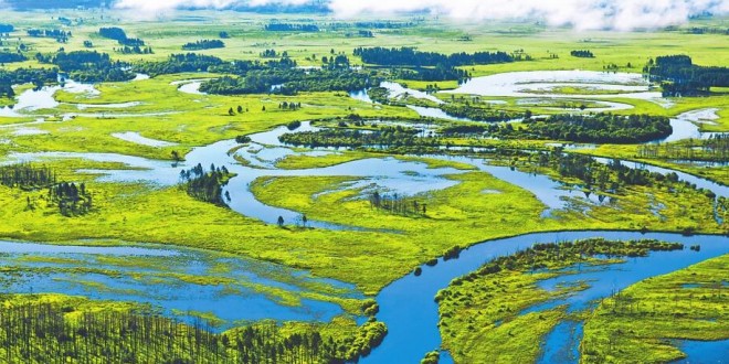 湿地保护法将正式实施 我国生态状况持续改善
