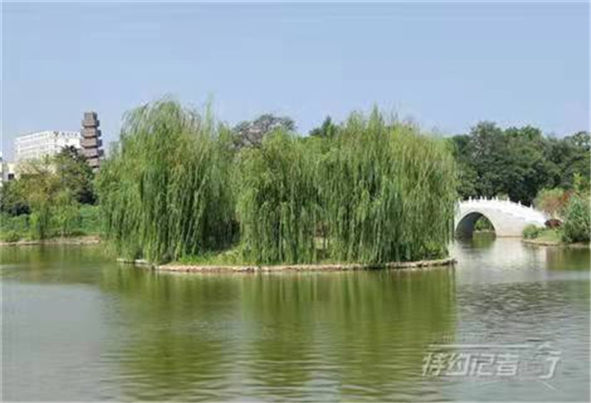 4太师渊公园的池塘