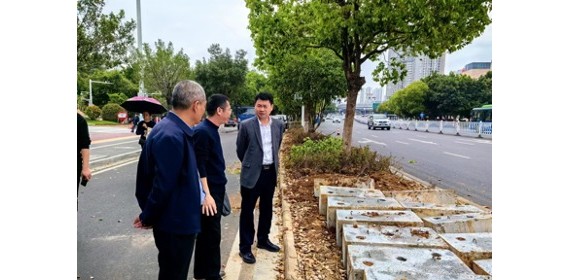 江西赣州城管局党组书记张人富调度兴国路绿化提升改造项目
