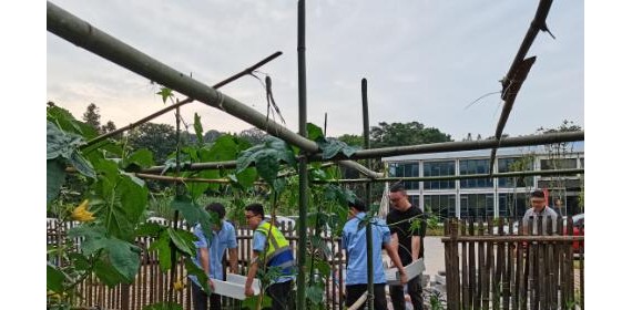 夏耘正当时 实干待丰收