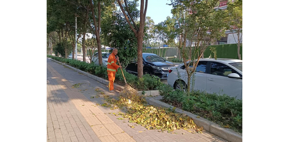 武汉汉阳区开启“落叶清扫”模式  全力守护城市环境