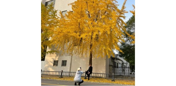 快来荆州区开启一场city walk  留住醉人秋色