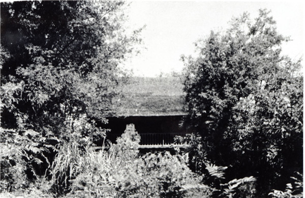 1935年的绿杨邨
