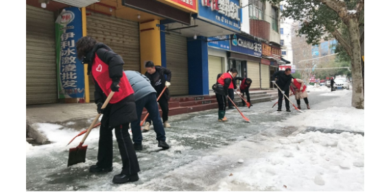 鄂州市房屋安全鉴定与白蚁防治所下沉社区开展清雪除冰活动