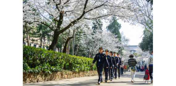 守护樱花盛宴，武昌区珞珈山街道全力护航武大樱花节