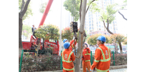 武汉汉阳区：没了这些“显眼包” 市民出行再也不闹心了