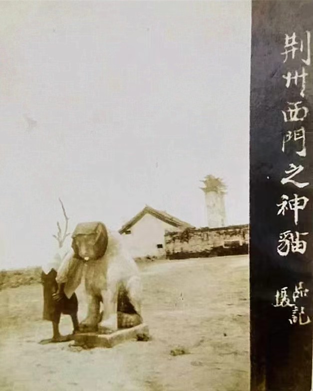 51935年7月，引起荆州城内骚动的那只“神猫”