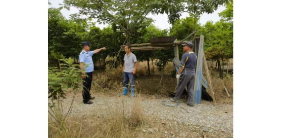 树林遮蔽处搭建违章房  武汉市东山街执法中心依法“闪电”强拆