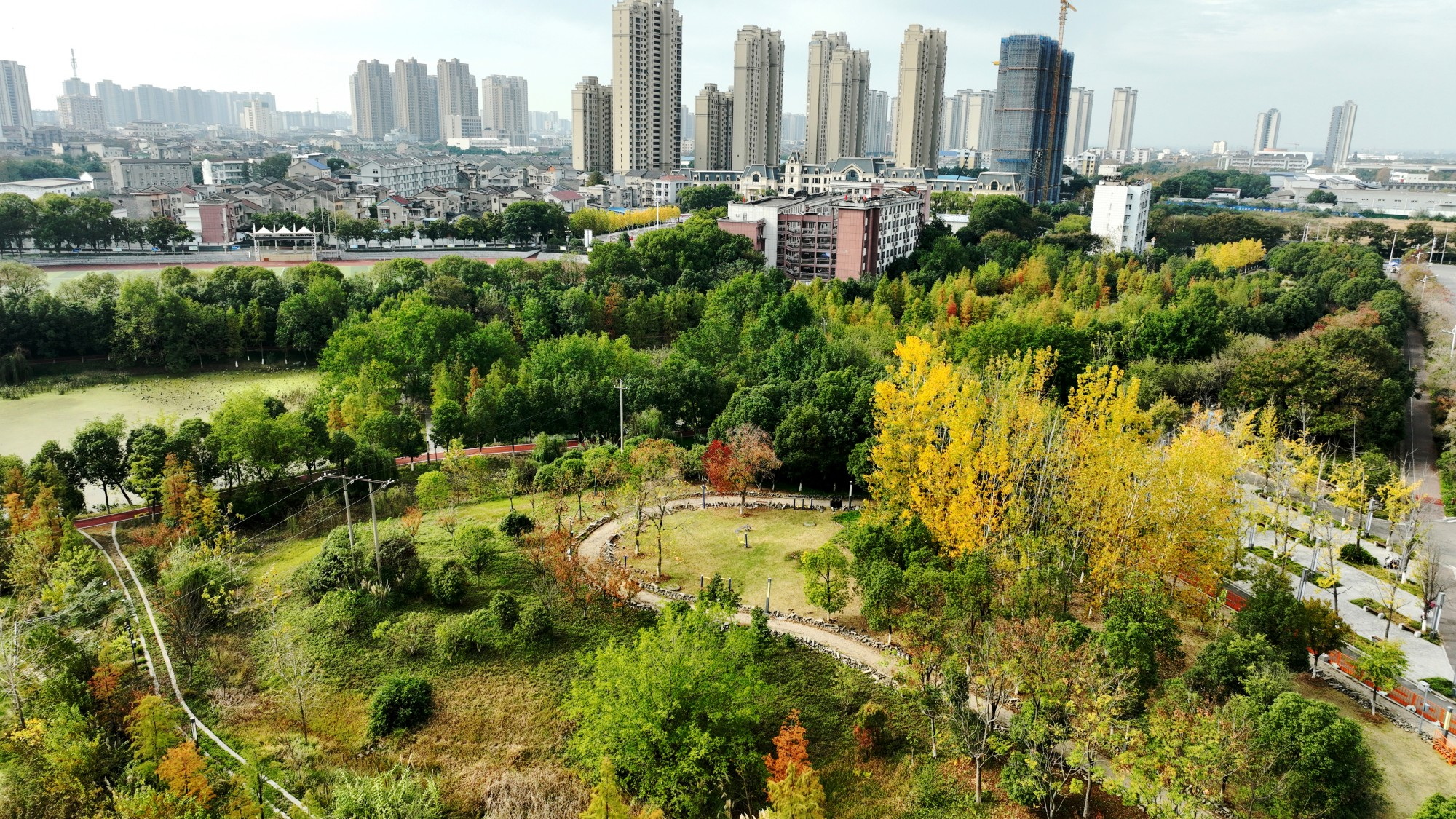 湖北枝江：公园浓妆淡抹呈现大自然的杰作-中华建设网